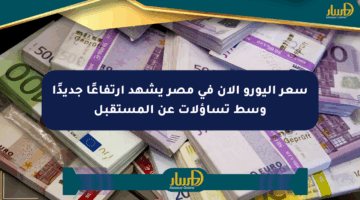 سعر اليورو الآن في مصر يشهد ارتفاعًا جديدًا وسط تساؤلات عن المستقبل